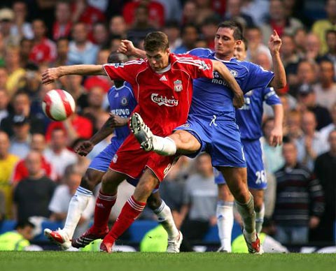 的全身肌肉 的全身肌肉